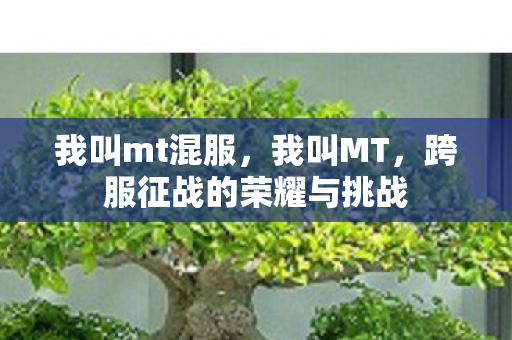 我叫mt混服，我叫MT，跨服征战的荣耀与挑战