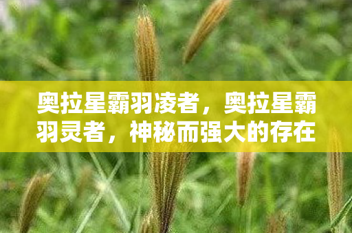 奥拉星霸羽凌者，奥拉星霸羽灵者，神秘而强大的存在