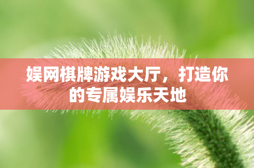 娱网棋牌游戏大厅，打造你的专属娱乐天地