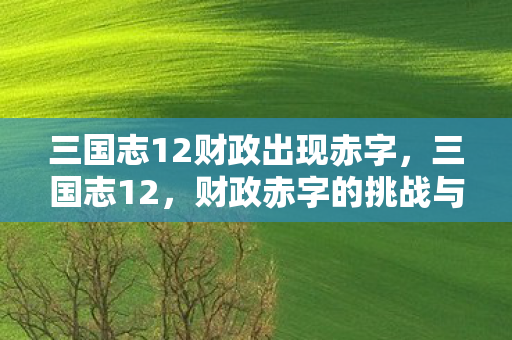 三国志12财政出现赤字，三国志12，财政赤字的挑战与应对策略