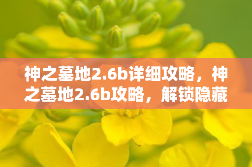 神之墓地2.6b详细攻略，神之墓地2.6b攻略，解锁隐藏关卡与角色，打造无敌阵容