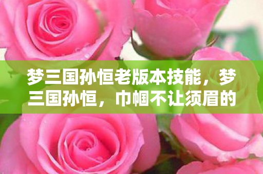 梦三国孙恒老版本技能，梦三国孙恒，巾帼不让须眉的传奇女性