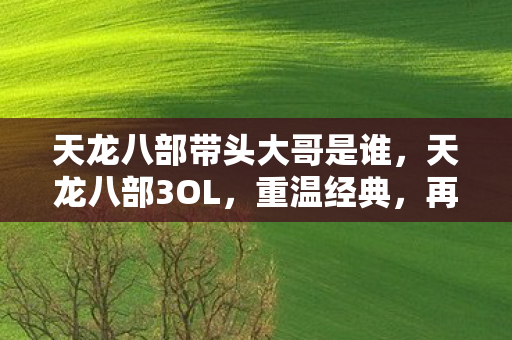 天龙八部带头大哥是谁，天龙八部3OL，重温经典，再续前缘