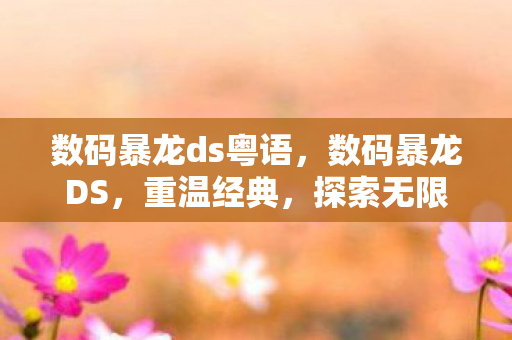 数码暴龙ds粤语，数码暴龙DS，重温经典，探索无限可能