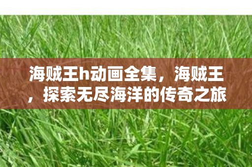 海贼王h动画全集，海贼王，探索无尽海洋的传奇之旅