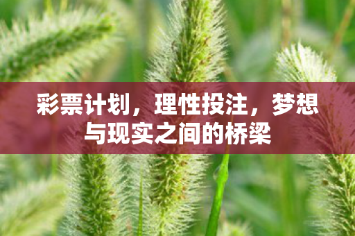 彩票计划，理性投注，梦想与现实之间的桥梁