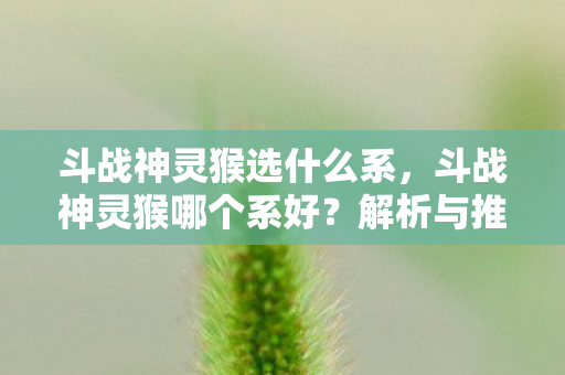 斗战神灵猴选什么系,斗战神灵猴哪个系好?解析与推荐 斗战神灵猴选什么系,斗战神灵猴哪个系好?解析与推荐