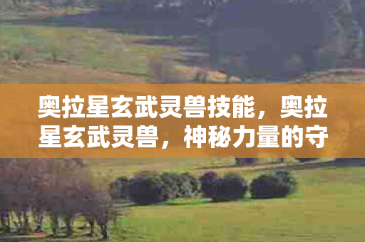 奥拉星玄武灵兽技能，奥拉星玄武灵兽，神秘力量的守护者