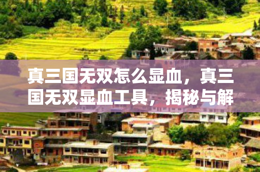 真三国无双怎么显血，真三国无双显血工具，揭秘与解析