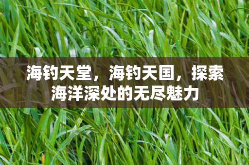 海钓天堂，海钓天国，探索海洋深处的无尽魅力