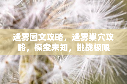 迷雾图文攻略，迷雾巢穴攻略，探索未知，挑战极限