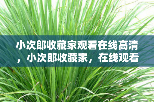 小次郎收藏家观看在线高清,小次郎收藏家,在线观看的艺术与乐趣 小次郎收藏家观看在线高清,小次郎收藏家,在线观看的艺术与乐趣