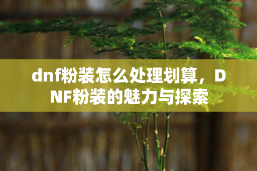 dnf粉装怎么处理划算，DNF粉装的魅力与探索
