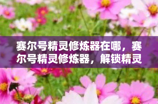 赛尔号精灵修炼器在哪，赛尔号精灵修炼器，解锁精灵潜能，打造最强战斗团队