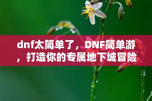 dnf太简单了，DNF简单游，打造你的专属地下城冒险之旅