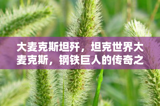 大麦克斯坦歼，坦克世界大麦克斯，钢铁巨人的传奇之旅