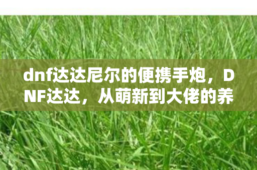 dnf达达尼尔的便携手炮，DNF达达，从萌新到大佬的养成之路