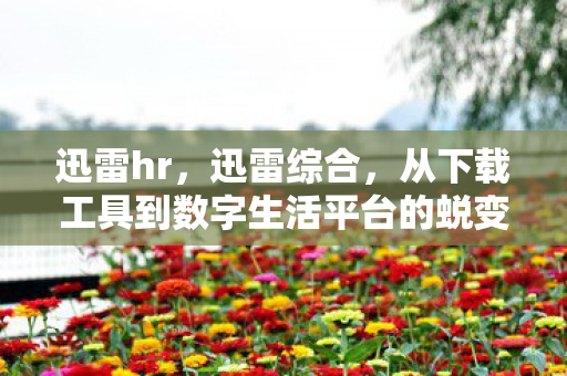 迅雷hr，迅雷综合，从下载工具到数字生活平台的蜕变