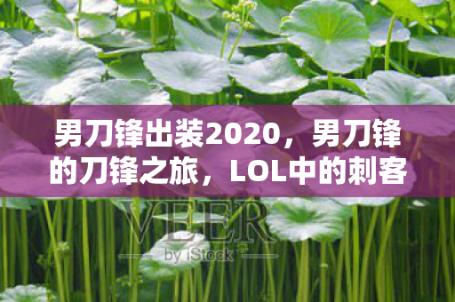 男刀锋出装2020，男刀锋的刀锋之旅，LOL中的刺客传奇