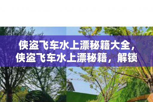侠盗飞车水上漂秘籍大全，侠盗飞车水上漂秘籍，解锁飞车特技的终极指南