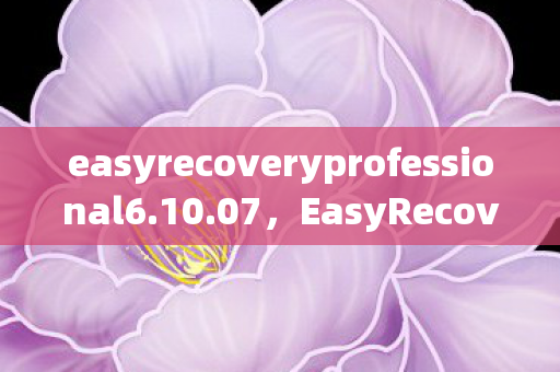 easyrecoveryprofessional6.10.07，EasyRecovery Pro 6.0 中文版，数据恢复利器，轻松应对数据丢失