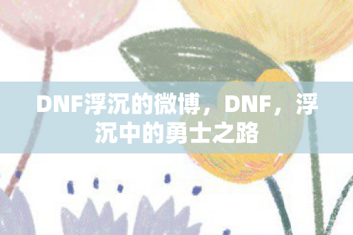 DNF浮沉的微博，DNF，浮沉中的勇士之路