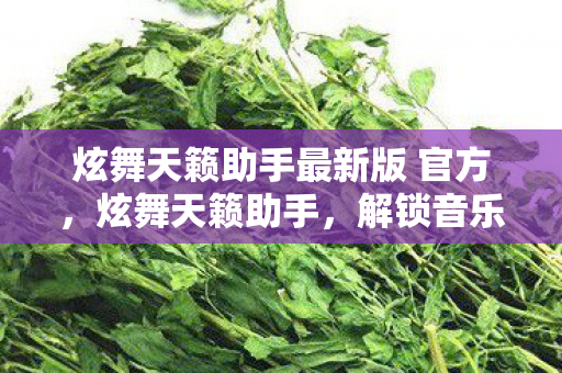 炫舞天籁助手最新版 官方，炫舞天籁助手，解锁音乐与舞蹈的无限可能