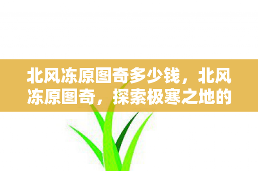北风冻原图奇多少钱，北风冻原图奇，探索极寒之地的神秘奇观