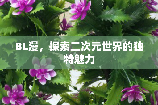 BL漫,探索二次元世界的独特魅力 BL漫,探索二次元世界的独特魅力
