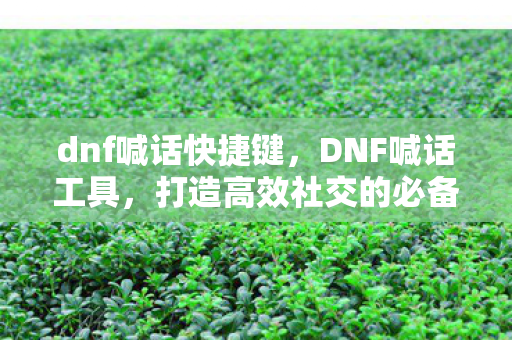 dnf喊话快捷键，DNF喊话工具，打造高效社交的必备神器