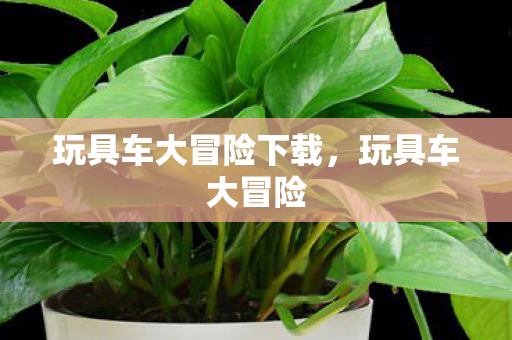 玩具车大冒险下载，玩具车大冒险