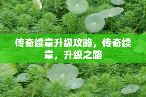 传奇续章升级攻略，传奇续章，升级之路