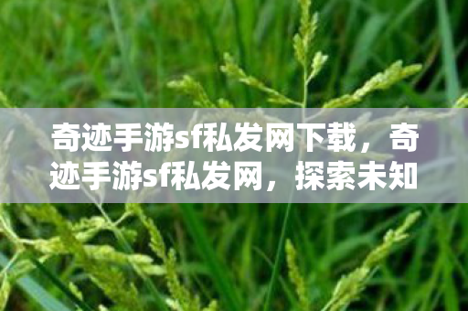 奇迹手游sf私发网下载，奇迹手游sf私发网，探索未知的游戏世界
