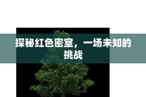 探秘红色密室，一场未知的挑战