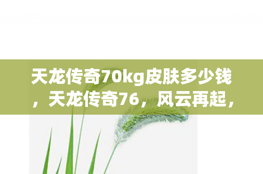 天龙传奇70kg皮肤多少钱，天龙传奇76，风云再起，江湖路远