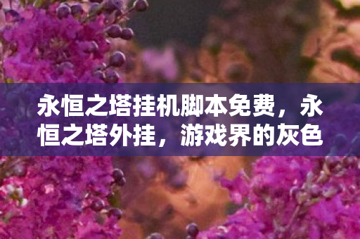 永恒之塔挂机脚本免费，永恒之塔外挂，游戏界的灰色阴影