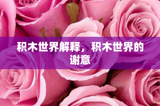 积木世界解释，积木世界的谢意