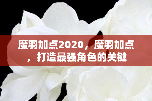 魔羽加点2020，魔羽加点，打造最强角色的关键
