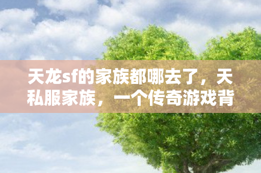 天龙sf的家族都哪去了，天私服家族，一个传奇游戏背后的故事