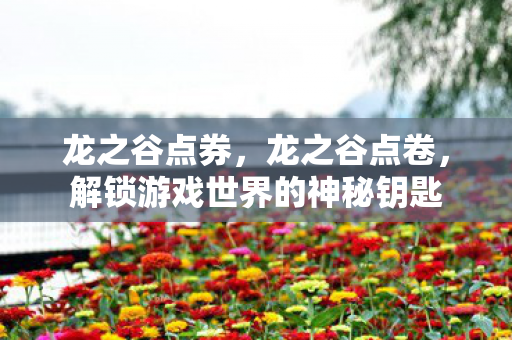 龙之谷点券，龙之谷点卷，解锁游戏世界的神秘钥匙