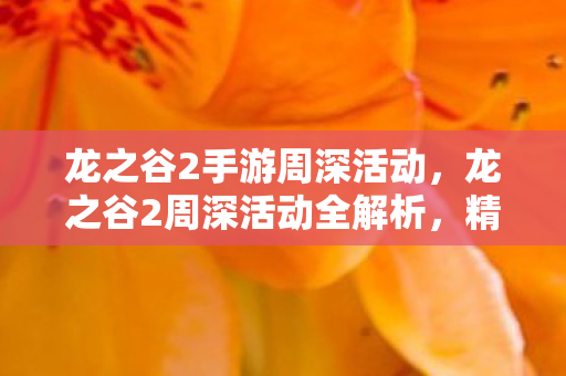 龙之谷2手游周深活动，龙之谷2周深活动全解析，精彩亮点与参与指南