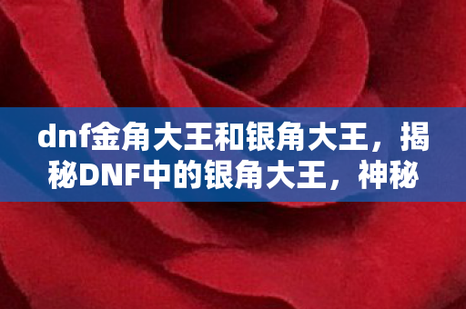 dnf金角大王和银角大王，揭秘DNF中的银角大王，神秘角色背后的故事