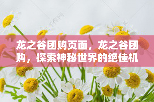 龙之谷团购页面,龙之谷团购,探索神秘世界的绝佳机会 龙之谷团购页面,龙之谷团购,探索神秘世界的绝佳机会