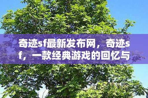 奇迹sf最新发布网，奇迹sf，一款经典游戏的回忆与传承