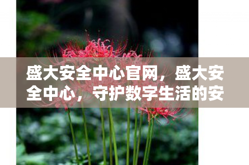 盛大安全中心官网，盛大安全中心，守护数字生活的安全防线