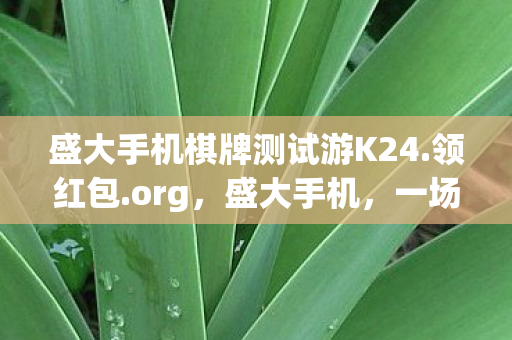 盛大手机棋牌测试游K24.领红包.org,盛大手机,一场未竟的传奇 盛大手机棋牌测试游K24.领红包.org,盛大手机,一场未竟的传奇