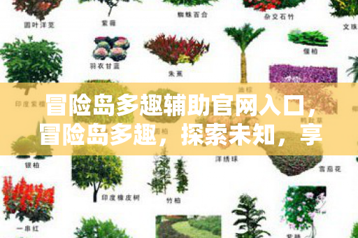 冒险岛多趣辅助官网入口,冒险岛多趣,探索未知,享受无限乐趣 冒险岛多趣辅助官网入口,冒险岛多趣,探索未知,享受无限乐趣