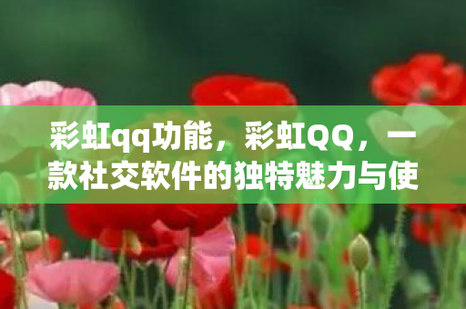 彩虹qq功能，彩虹QQ，一款社交软件的独特魅力与使用方法
