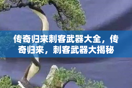 传奇归来刺客武器大全,传奇归来,刺客武器大揭秘 传奇归来刺客武器大全,传奇归来,刺客武器大揭秘