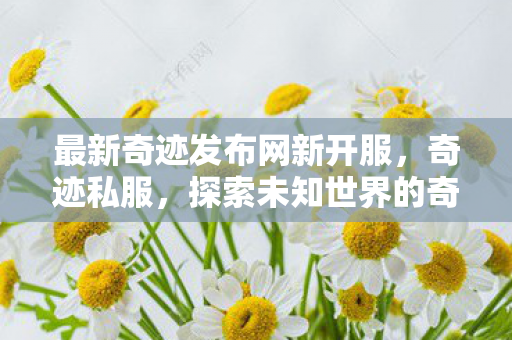 最新奇迹发布网新开服，奇迹私服，探索未知世界的奇幻之旅